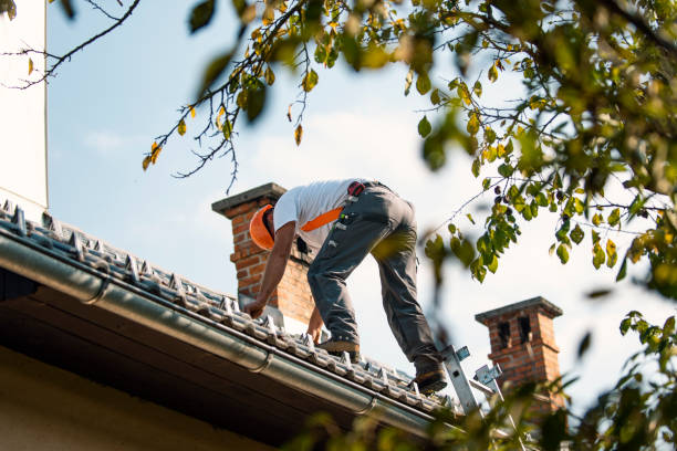 Best Affordable Roofing Company  in Forest Meadows, CA