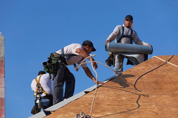 Best Roof Repair Services  in Forest Meadows, CA