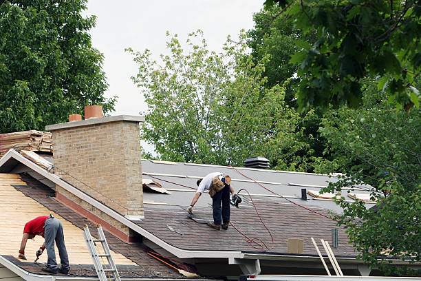 Best Roof Inspection Near Me  in Forest Meadows, CA