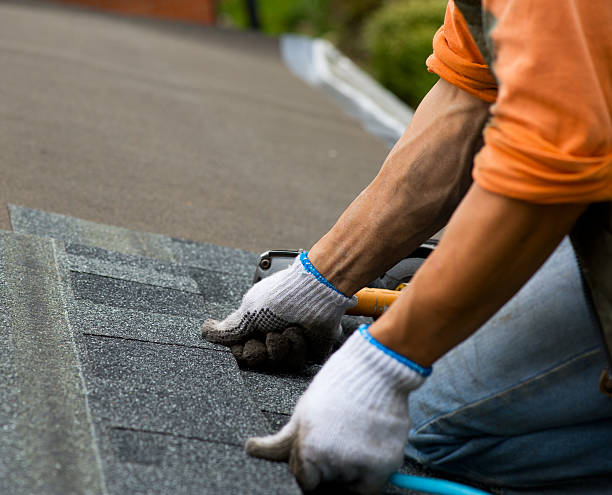 Best Residential Roof Replacement  in Forest Meadows, CA