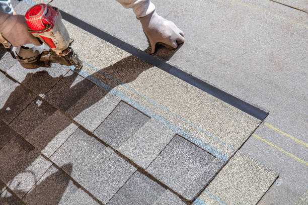 Best Roof Leak Repair  in Forest Meadows, CA